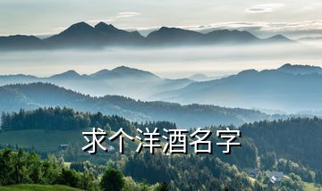 求個(gè)洋酒名字