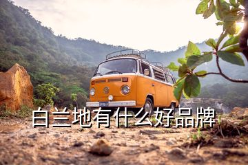 白蘭地有什么好品牌