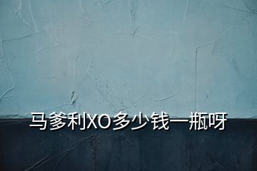 馬爹利XO多少錢一瓶呀