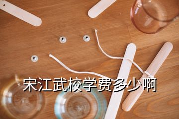 宋江武校學(xué)費(fèi)多少啊