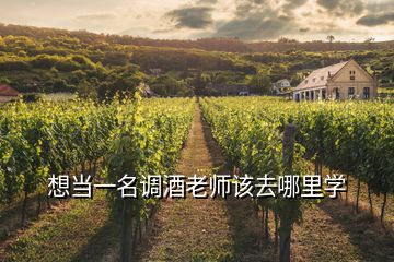 想當一名調(diào)酒老師該去哪里學