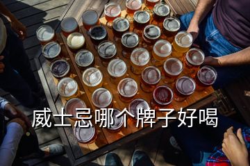 威士忌哪個牌子好喝