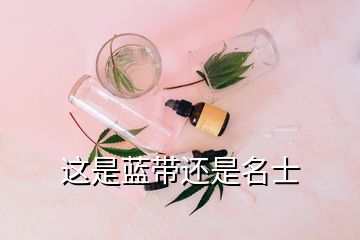 這是藍帶還是名士