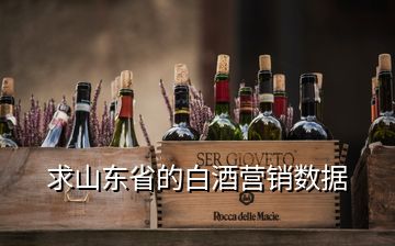 求山東省的白酒營(yíng)銷數(shù)據(jù)