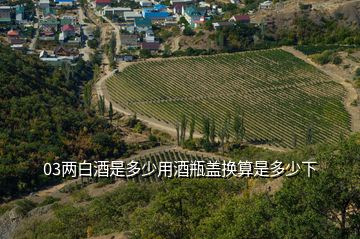 03兩白酒是多少用酒瓶蓋換算是多少下