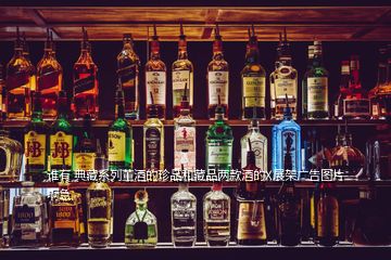 誰有 典藏系列董酒的珍品和藏品兩款酒的X展架廣告圖片啊急