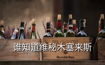 誰(shuí)知道維秘木塞來(lái)斯