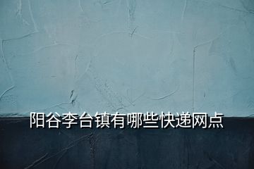 陽谷李臺(tái)鎮(zhèn)有哪些快遞網(wǎng)點(diǎn)
