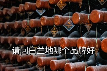 請問白蘭地哪個(gè)品牌好