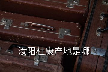 汝陽(yáng)杜康產(chǎn)地是哪