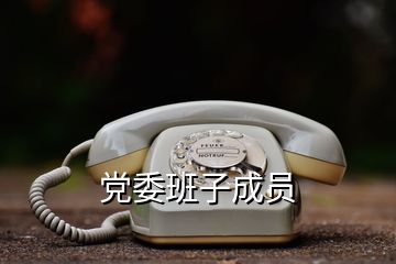 黨委班子成員