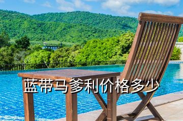 藍(lán)帶馬爹利價格多少