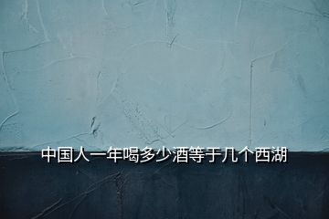 中國人一年喝多少酒等于幾個西湖