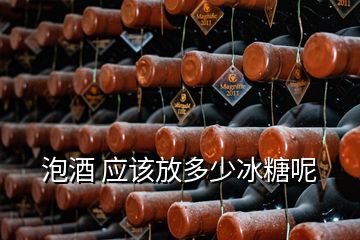 泡酒 應該放多少冰糖呢