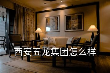 西安五龍集團怎么樣