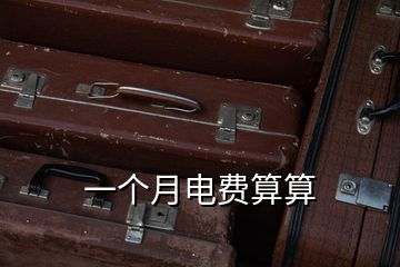 一個(gè)月電費(fèi)算算