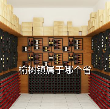 榆樹(shù)鎮(zhèn)屬于哪個(gè)省
