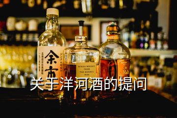 關(guān)于洋河酒的提問
