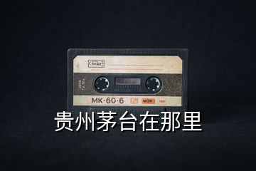 貴州茅臺在那里