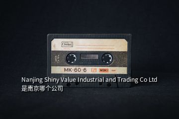 Nanjing Shiny Value Industrial and Trading Co Ltd 是南京哪個公司