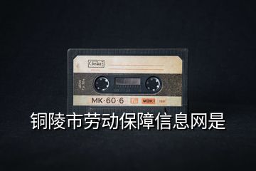 銅陵市勞動保障信息網(wǎng)是