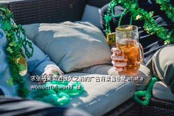 求張?jiān)Ｆ咸丫坪芫弥暗膹V告背景音樂是what a wonderful world  搜
