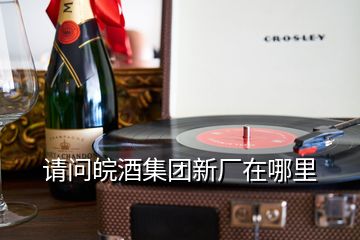 請(qǐng)問皖酒集團(tuán)新廠在哪里