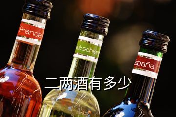 二兩酒有多少