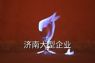 濟南大型企業(yè)