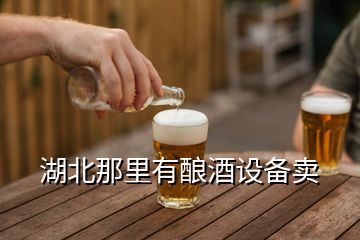 湖北那里有釀酒設備賣