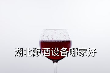 湖北釀酒設備哪家好