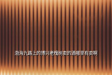 渤海九路上的博興老槐樹賣的酒哪里有賣啊