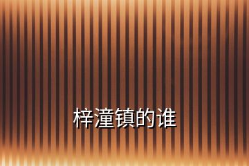 梓潼鎮(zhèn)的誰(shuí)