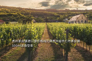 貴州茅臺鎮(zhèn)酒52度價(jià)格純元牌貴州省懷仁市茅臺鎮(zhèn)500ml濃香型條
