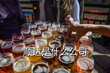 順達(dá)是什么公司