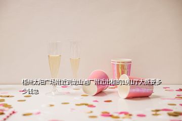 梧州太陽廣場(chǎng)附近到龍山酒廠附近出租的1房1廳大概要多少錢急