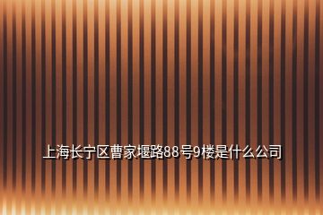 上海長(zhǎng)寧區(qū)曹家堰路88號(hào)9樓是什么公司