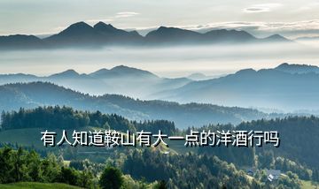 有人知道鞍山有大一點的洋酒行嗎