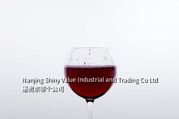 Nanjing Shiny Value Industrial and Trading Co Ltd 是南京哪個(gè)公司