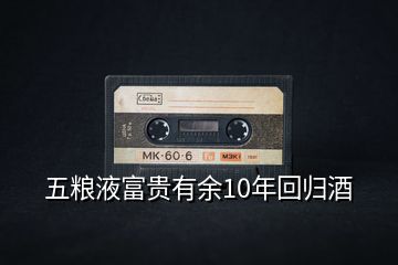 五糧液富貴有余10年回歸酒