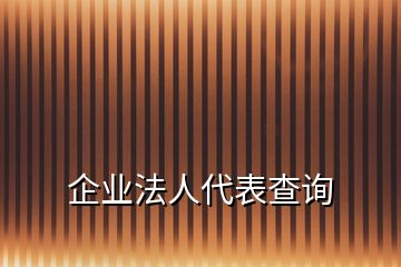 企業(yè)法人代表查詢(xún)
