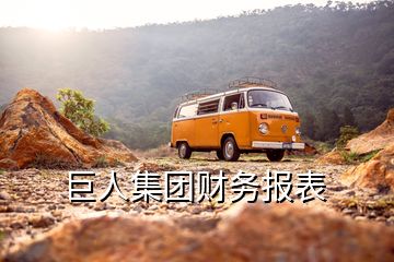 巨人集團財務(wù)報表