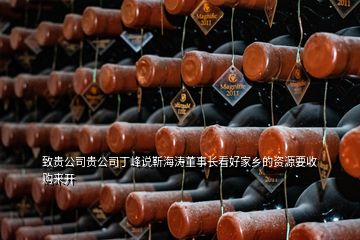 致貴公司貴公司丁峰說靳海濤董事長(zhǎng)看好家鄉(xiāng)的資源要收購來開