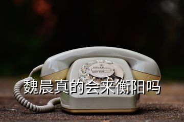 魏晨真的會來衡陽嗎