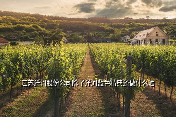 江蘇洋河股份公司除了洋河藍色精典還做什么酒