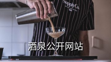 酒泉公開網(wǎng)站