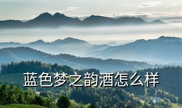 藍(lán)色夢(mèng)之韻酒怎么樣