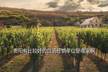 貴陽有比較好的白酒經(jīng)銷單位是哪家啊