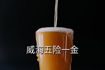 威海五險(xiǎn)一金