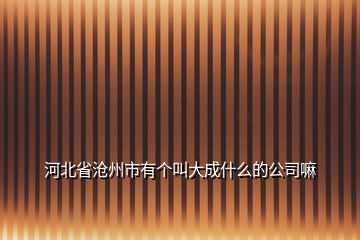 河北省滄州市有個叫大成什么的公司嘛